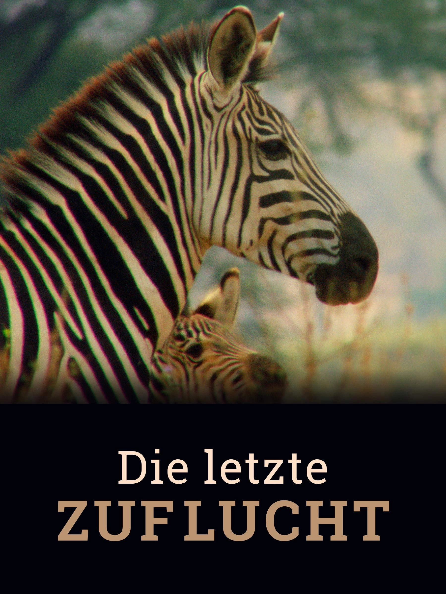 Die letzte Zuflucht