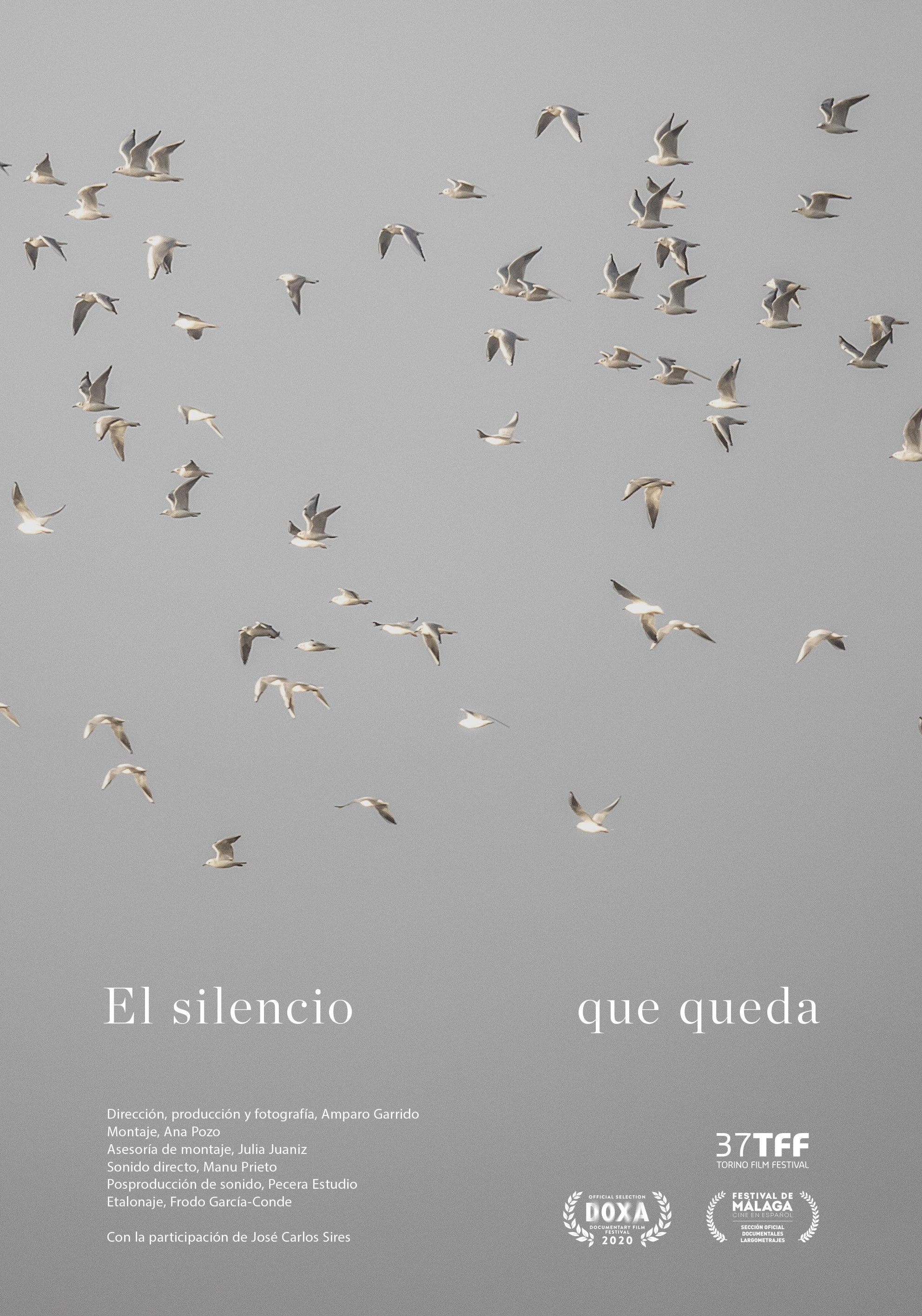 El silencio que queda