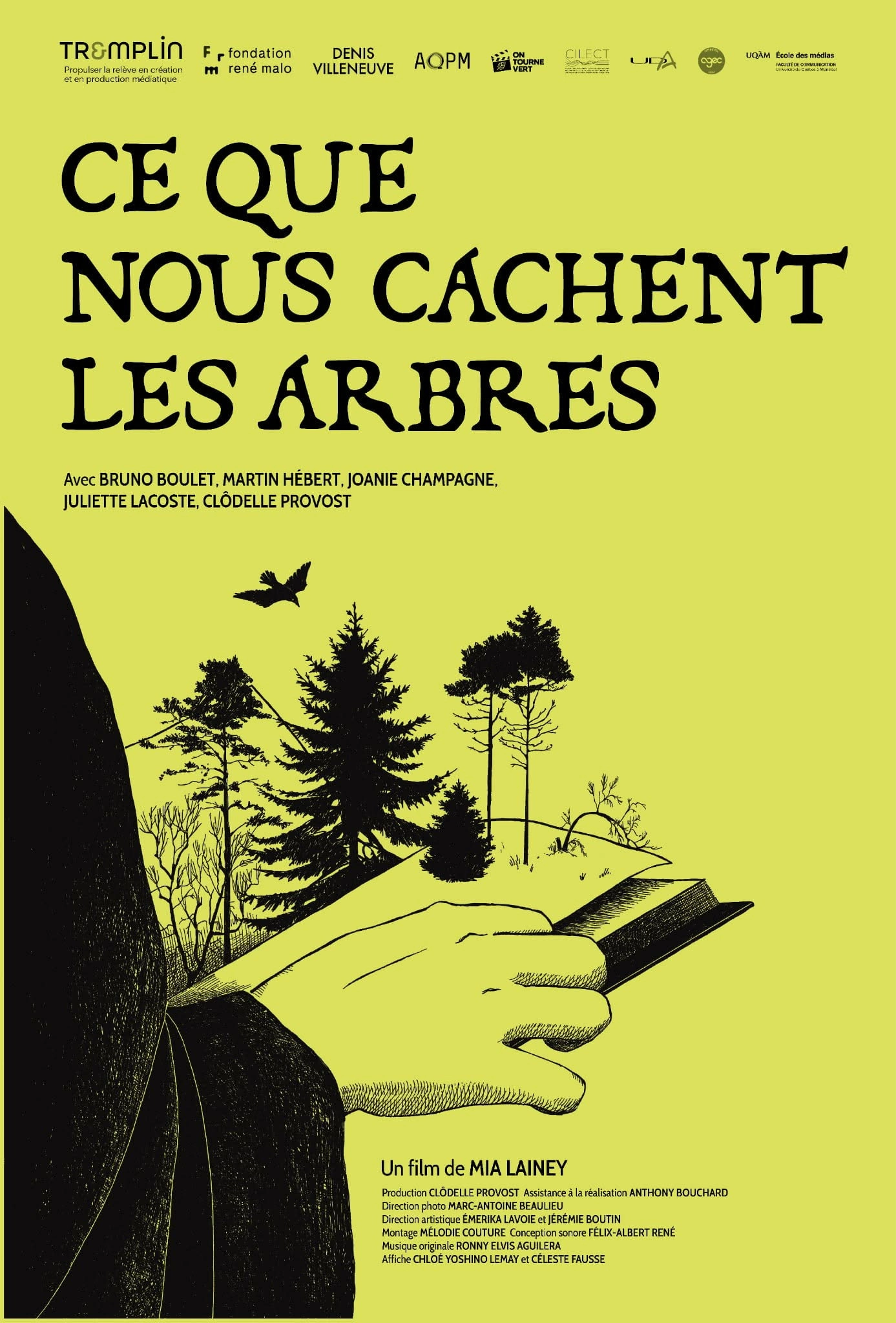 Ce que nous cachent les arbres