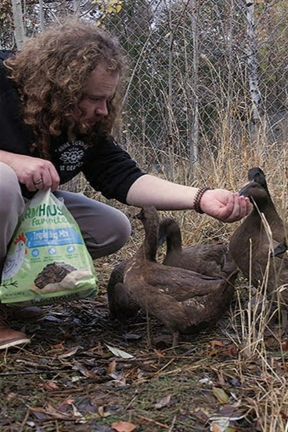 Baylin and the Ducks