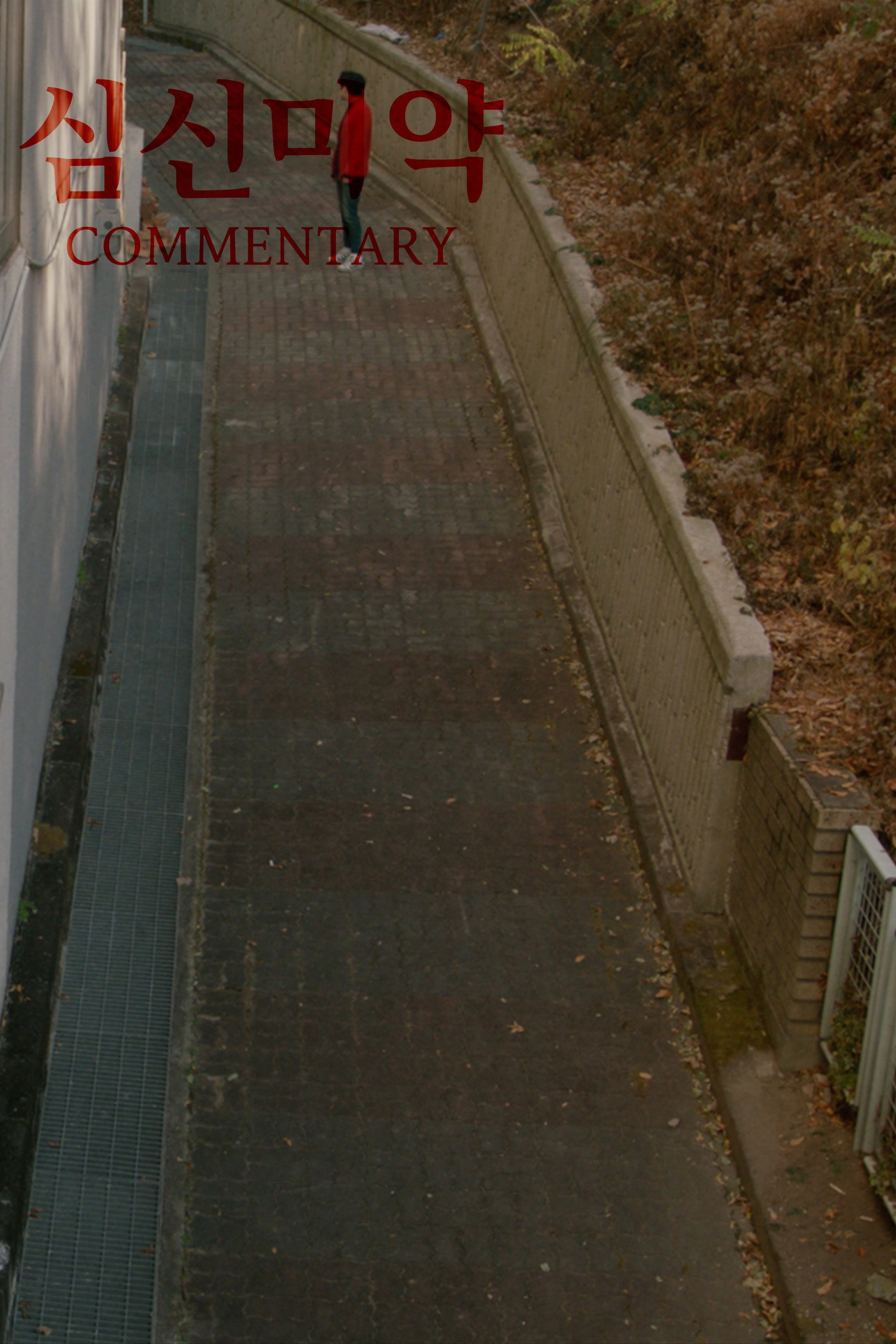 Commentary