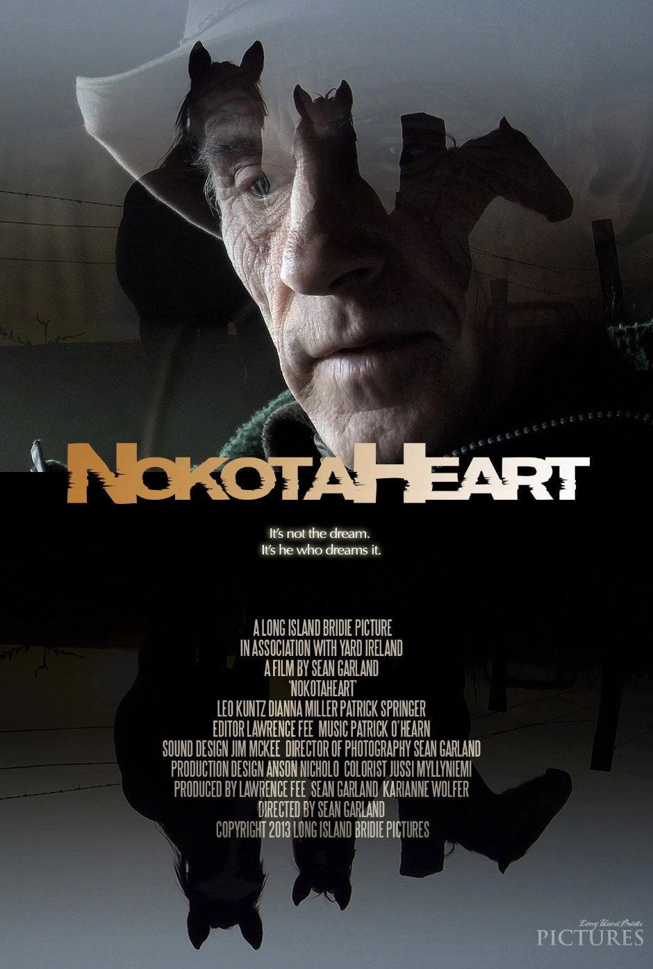 NokotaHeart