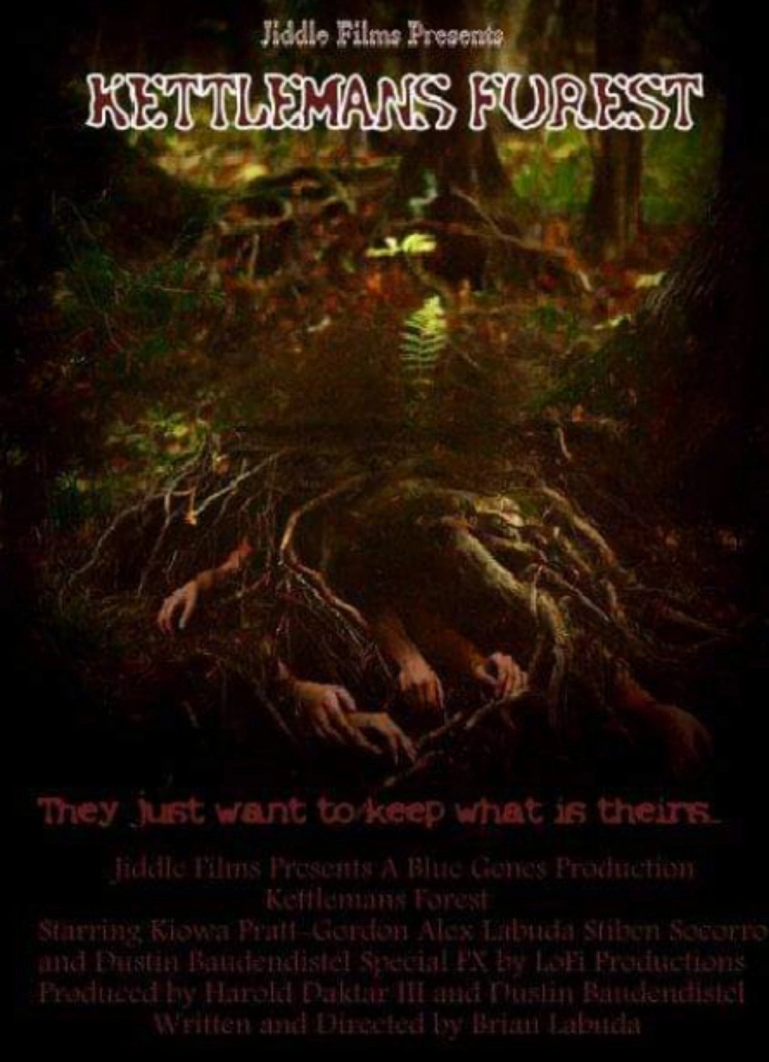 Kettlemans Forest