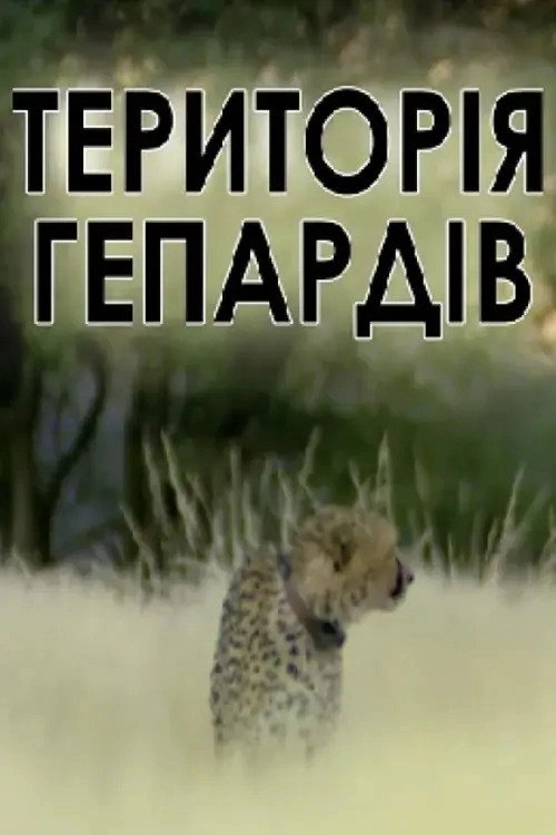 Man, Cheetah, Wild