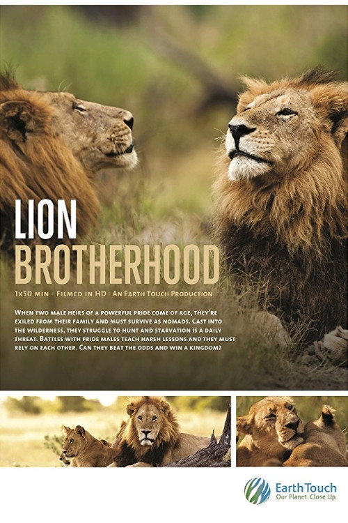 Lion Brotherhood