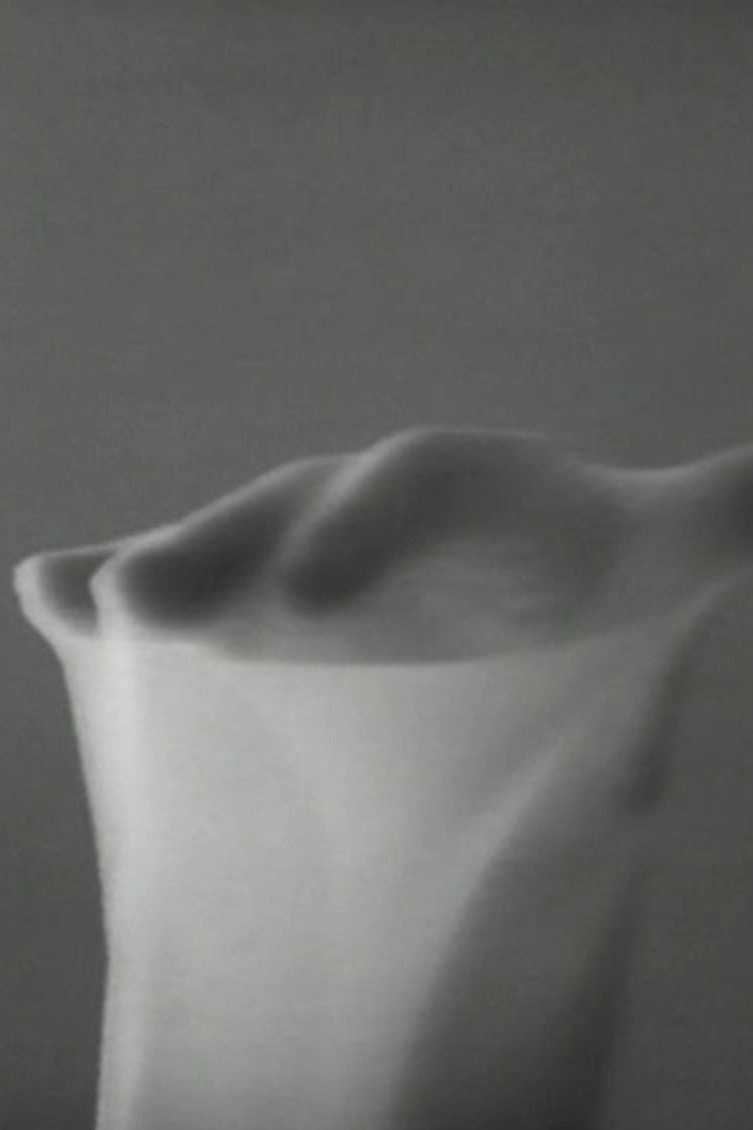 Movements in Light