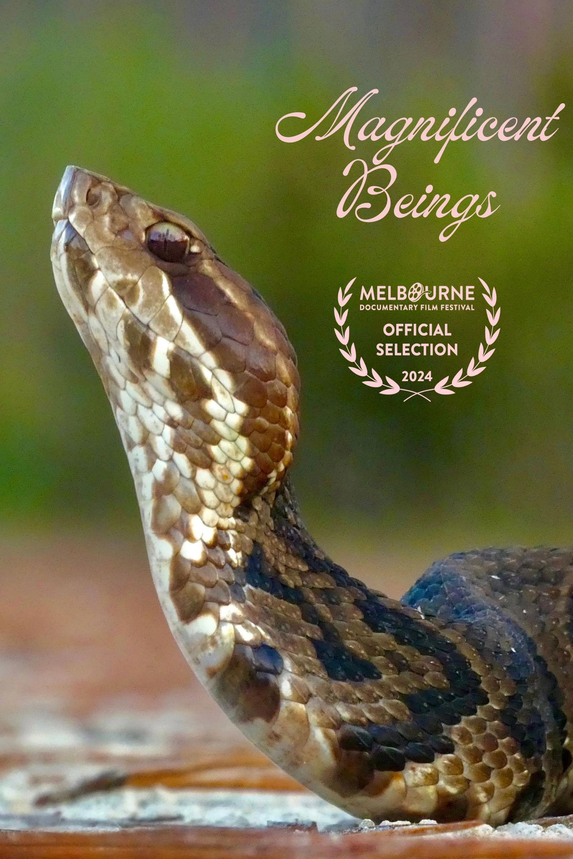 Magnificent Beings