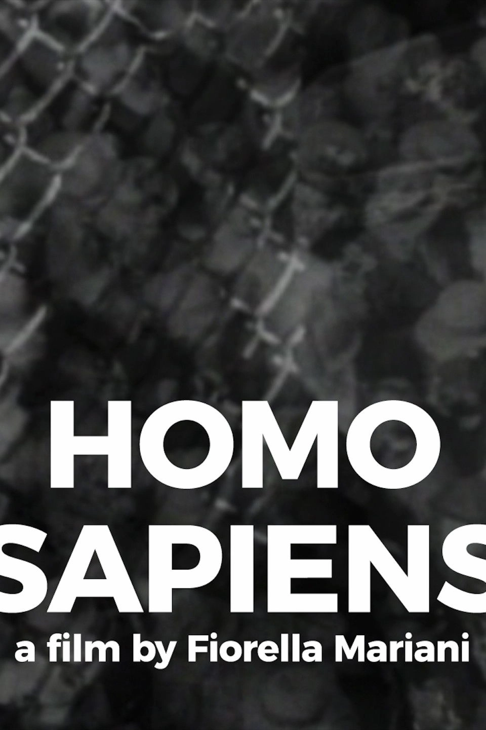 Homo Sapiens