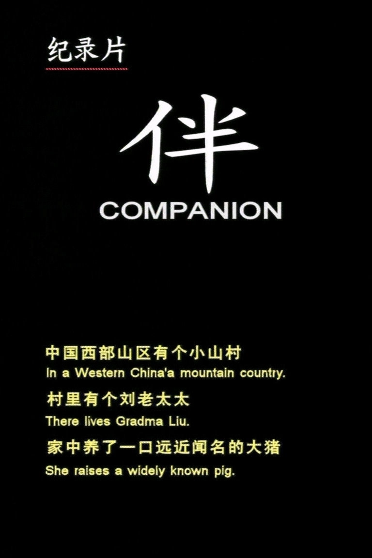Companion