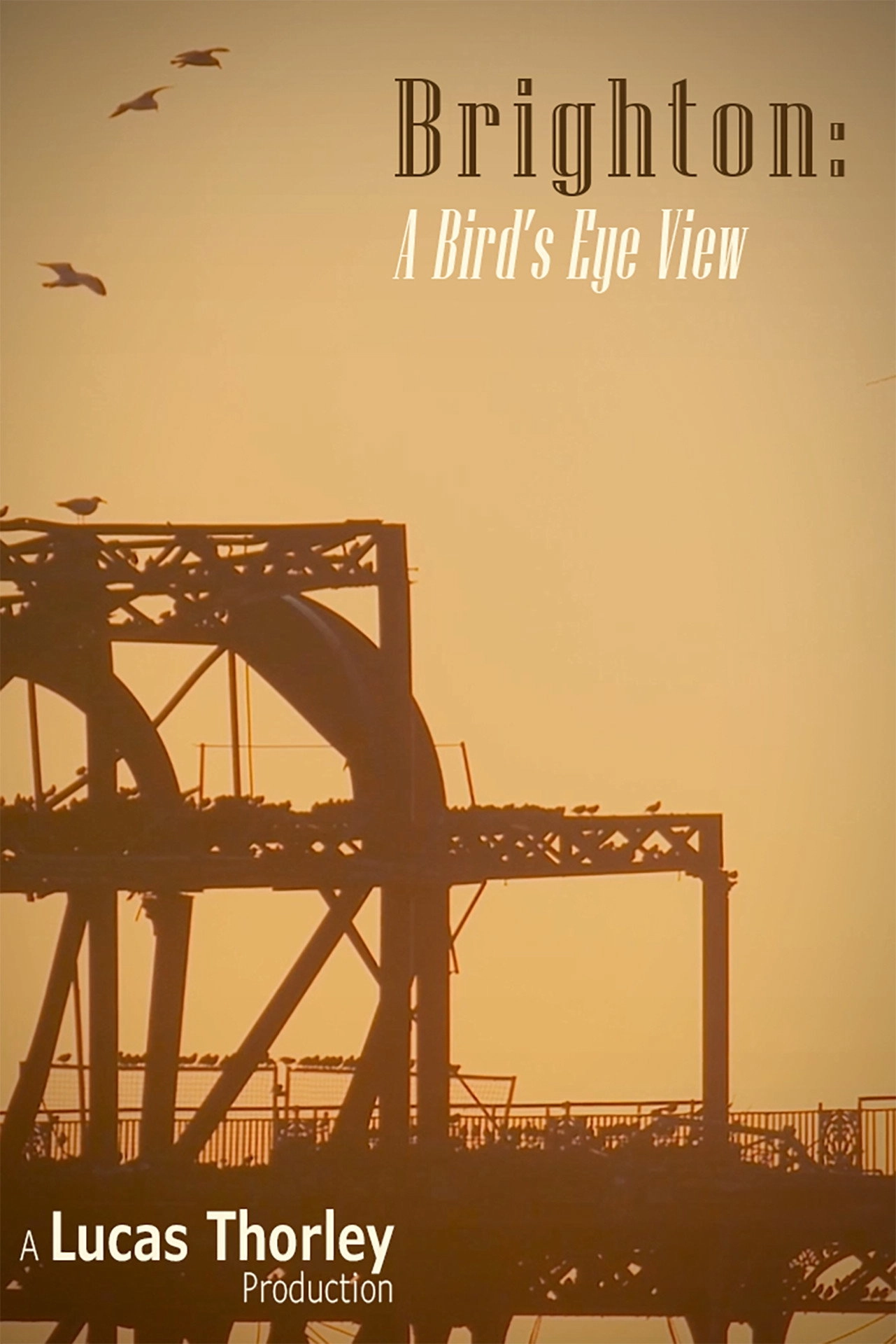 Brighton: A Bird's Eye View