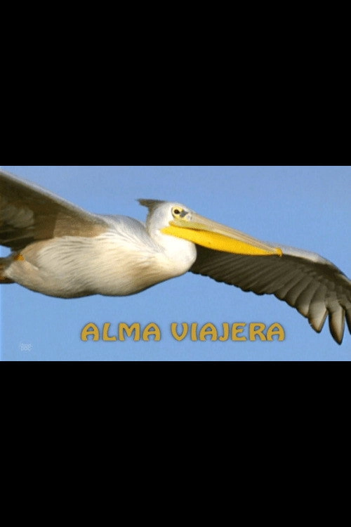 Alma viajera