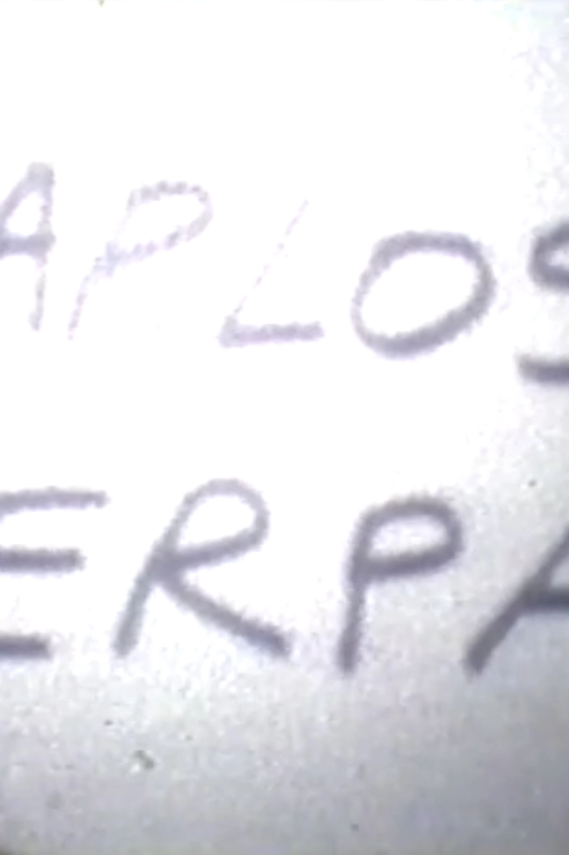Cosas que decir