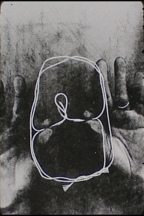 cat's cradle