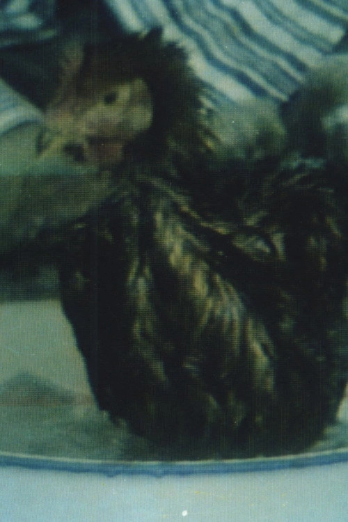 Hygiene No.3