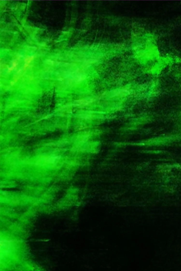 Rushing Green