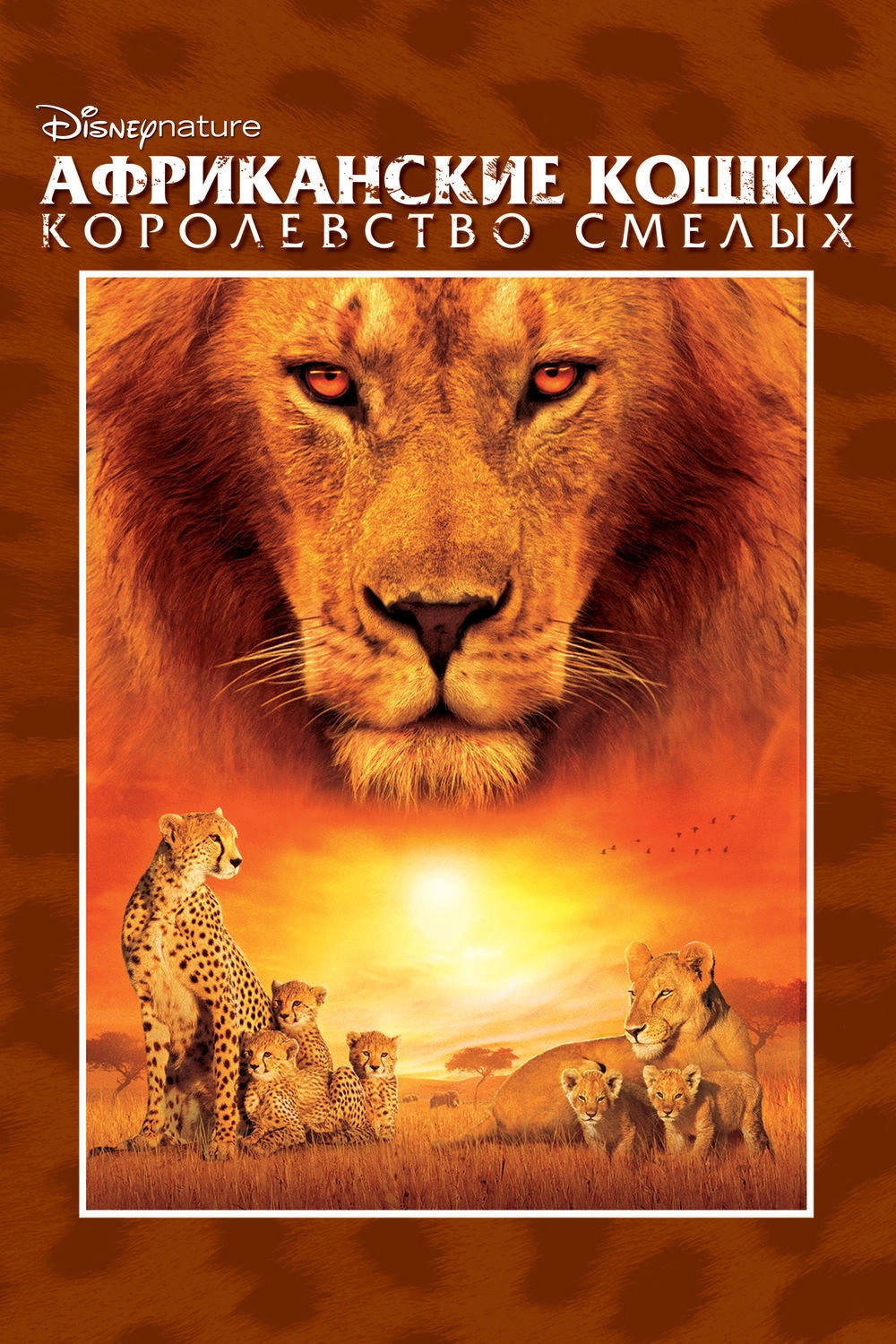 African Cats
