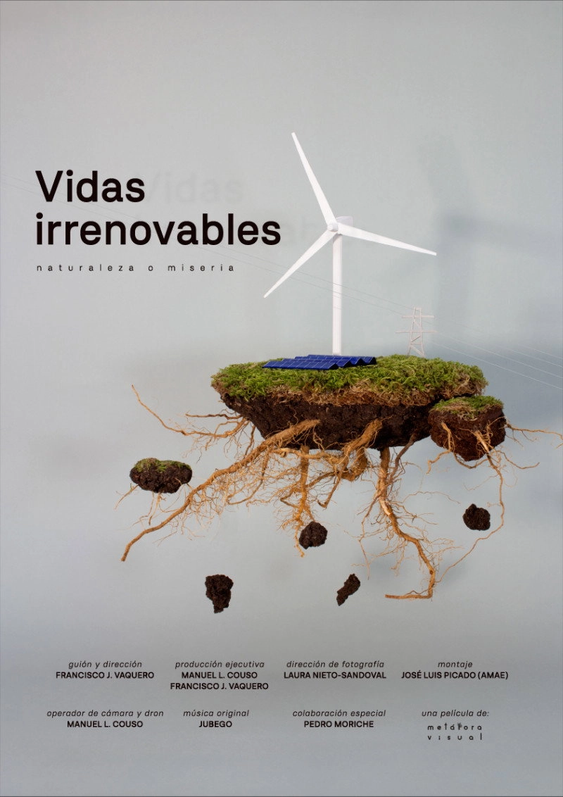 Vidas Irrenovables