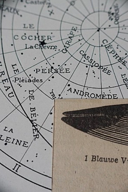 Three Circles with(in) the Whale